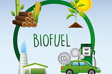 Bioenergy: A European engine for growth and innovation