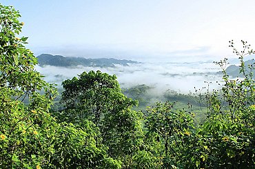 Brazilský úřad dal firmě Petrobras povolení k průzkumným vrtům u ústí Amazonky