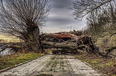 Střední Evropa se otepluje dvakrát rychleji než svět. Česko letos překoná další milník