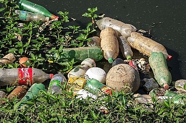 Desítky pytlů odpadků a až čtyřikrát víc dobrovolníků. Lidé se při omezení pohybu dali do úklidu obcí