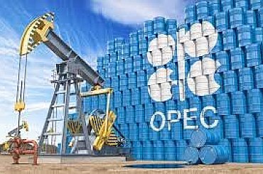 OPEC opět zhoršil výhled poptávky po ropě na letošní a příští rok