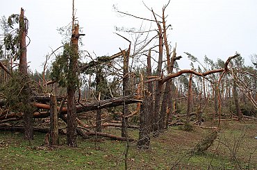 Bouře v hradeckém kraji lámala stromy, bez elektřiny bylo 6700 domácností